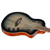Ortega RTPG-LS1 TourPlayer Series 4/4 Nylon String Guitar 6-String + Pro Gig Bag