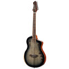 Ortega RTPG-LS1 TourPlayer Series 4/4 Nylon String Guitar 6-String + Pro Gig Bag
