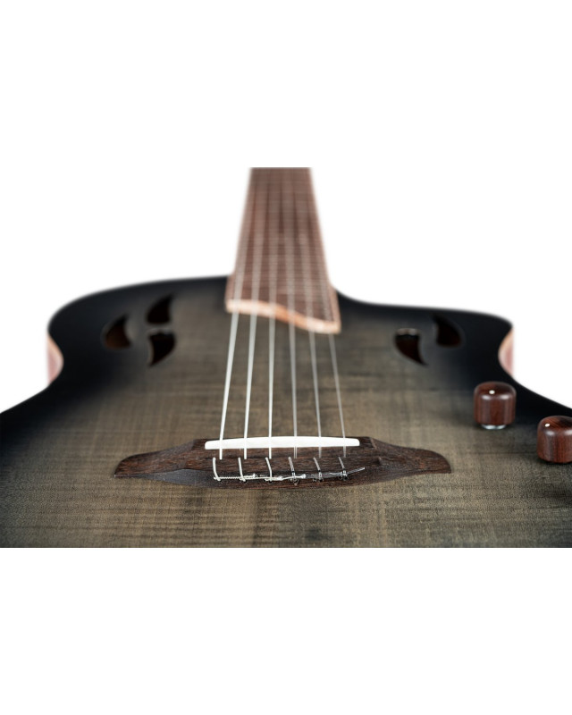 Ortega RTPG-LS1 TourPlayer Series 4/4 Nylon String Guitar 6-String + Pro Gig Bag