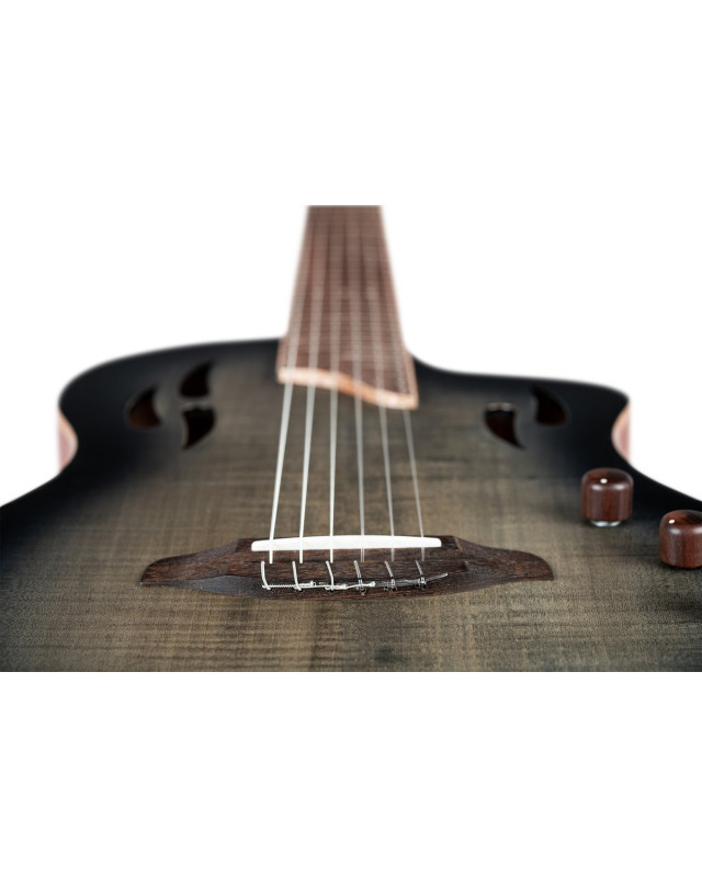 Ortega RTPG-LS1 TourPlayer Series 4/4 Nylon String Guitar 6-String + Pro Gig Bag