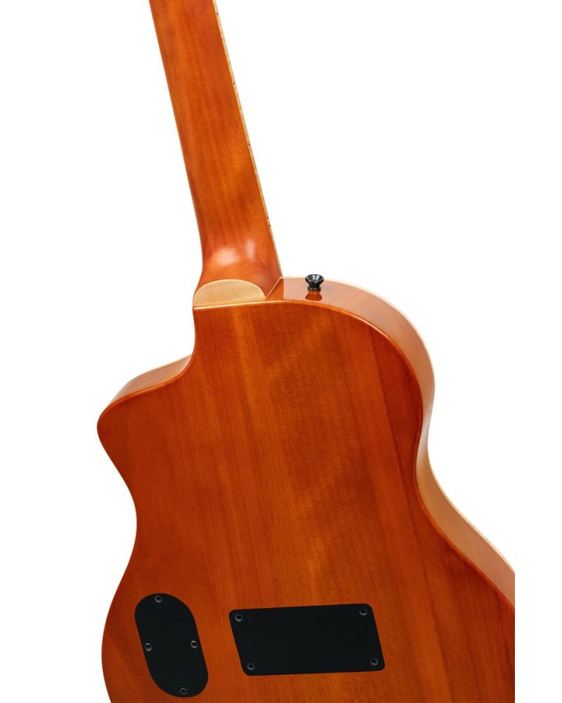 Ortega RTPG-LS1 TourPlayer Series 4/4 Nylon String Guitar 6-String + Pro Gig Bag