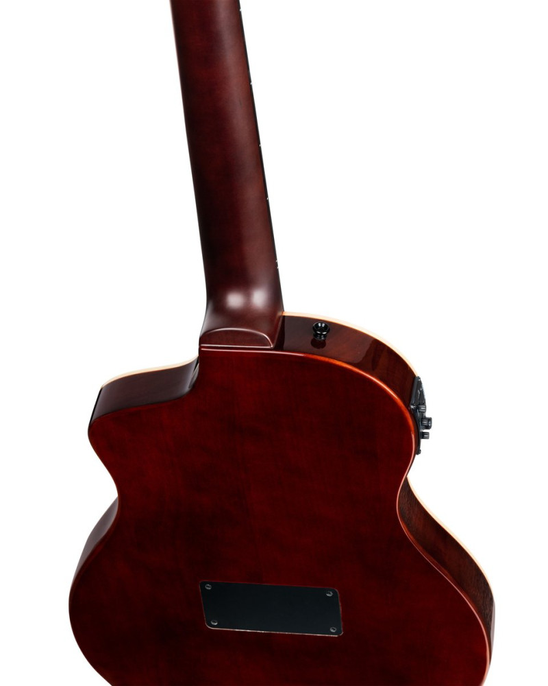 Ortega RTPSTD-NAT TourPlayer DeLuxe Nylon String Guitar 6-String - Spruce Natural + Gig Bag