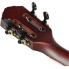 Ortega RTPX-U-ACA TourPlayer Series Tenor Ukulele 4-String + Gig Bag