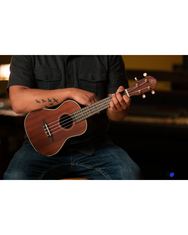 Ortega RU11 Timber Series Concert Ukulele 4 String - Mahogany Natural + Bag
