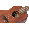 Ortega RU4MM Bonfire Series Concert Ukulele 4 String