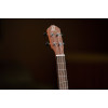 Ortega RU5-BA Bonfire Series Baritone Ukulele 4 String - Spruce/Sapele Natural