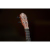 Ortega RU5CE Bonfire Series Preamp Concert Ukulele 4 String - Spruce/Sapele Natural