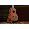 Ortega RU5MM Bonfire Series Concert Ukulele 4 String - Sapele Natural