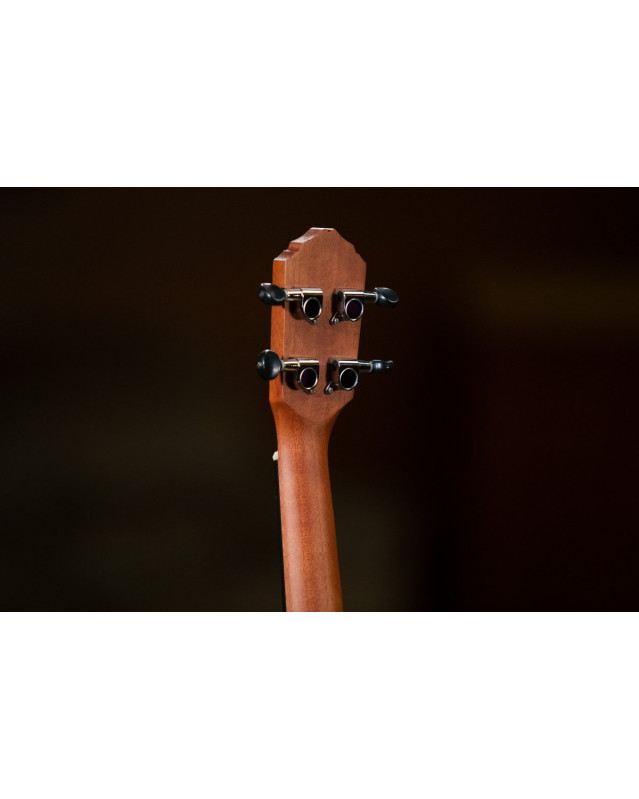 Ortega RU5MM Bonfire Series Concert Ukulele 4 String - Sapele Natural