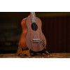 Ortega RU5MM-TE Bonfire Series Tenor Ukulele 4 String - Sapele Natural