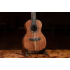 Ortega RUACA-CC Timber Series Concert Ukulele 4 String - Acacia Natural + Bag