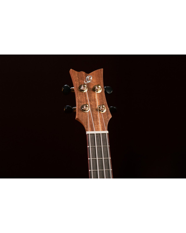 Ortega RUACA-CC Timber Series Concert Ukulele 4 String - Acacia Natural + Bag