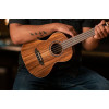 Ortega RUACA-TE Timber Series Tenor Ukulele 4 String - Acacia Natural + Bag