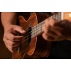 Ortega RUACA-TE Timber Series Tenor Ukulele 4 String - Acacia Natural + Bag