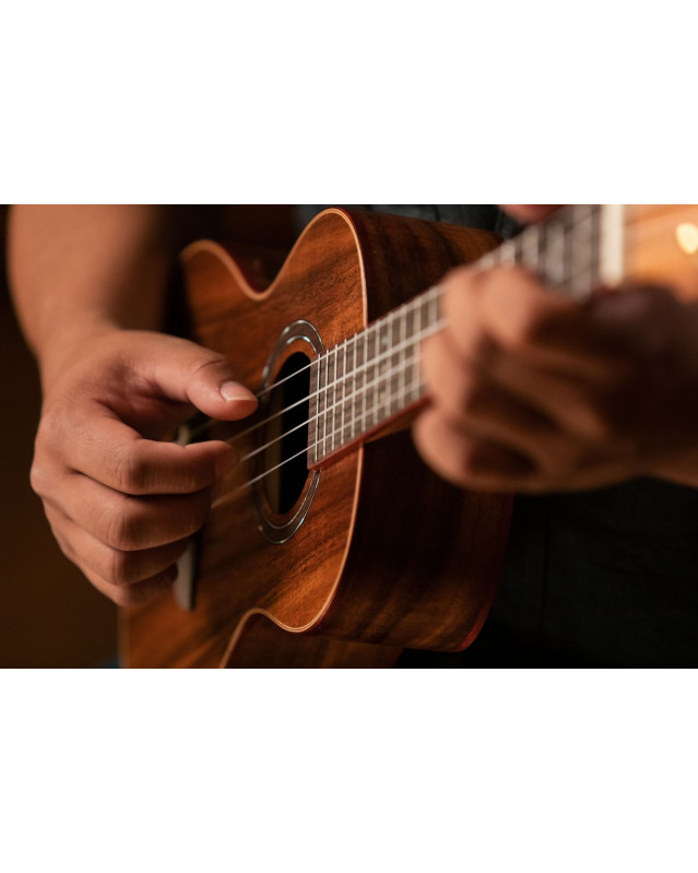 Ortega RUACA-TE Timber Series Tenor Ukulele 4 String - Acacia Natural + Bag