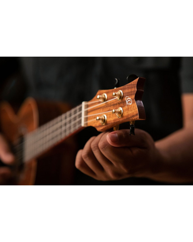 Ortega RUACA-TE Timber Series Tenor Ukulele 4 String - Acacia Natural + Bag