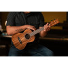 Ortega RUACA-TE Timber Series Tenor Ukulele 4 String - Acacia Natural + Bag