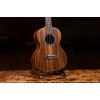 Ortega RUACA-TE Timber Series Tenor Ukulele 4 String - Acacia Natural + Bag
