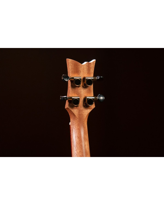 Ortega RUACA-TE Timber Series Tenor Ukulele 4 String - Acacia Natural + Bag