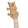 Ortega RUAR-BI Art Series Concert Ukulele 4 String - Spruce / Catalpa Birds
