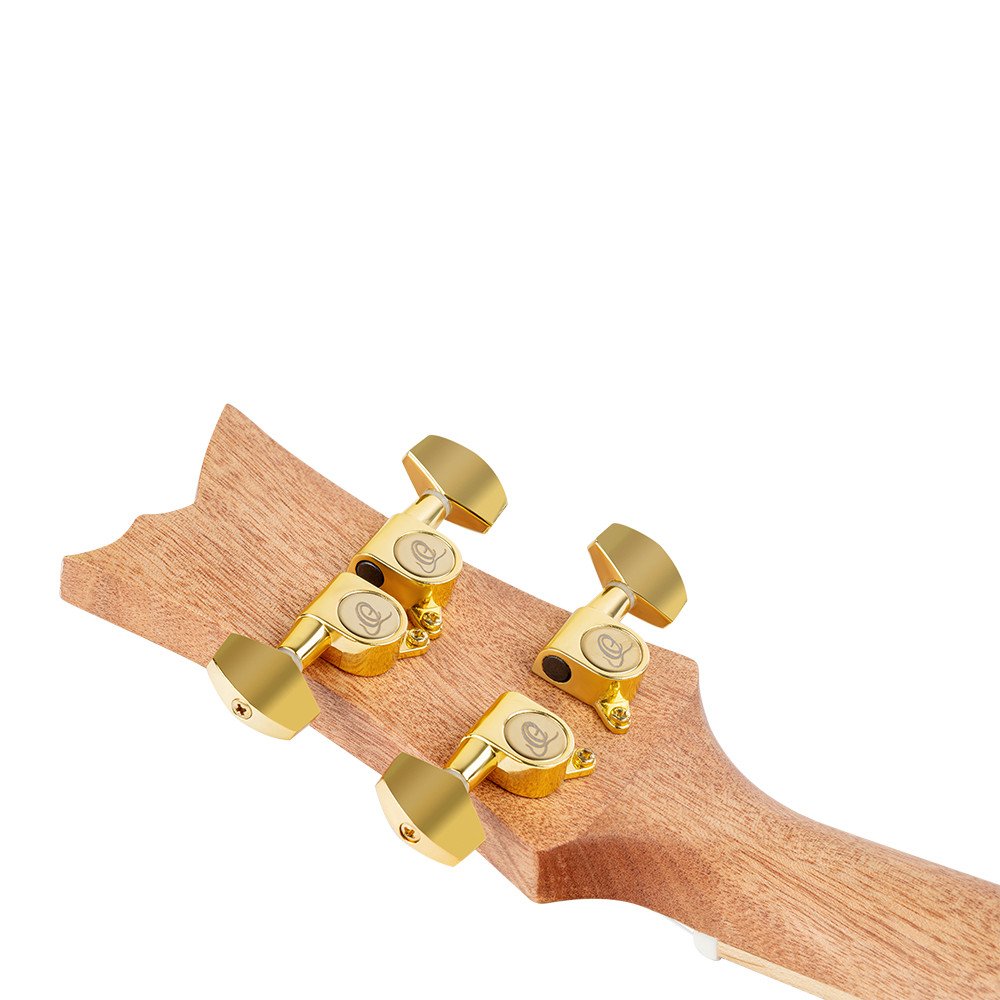 Ortega RUAR-BI Art Series Concert Ukulele 4 String - Spruce / Catalpa Birds