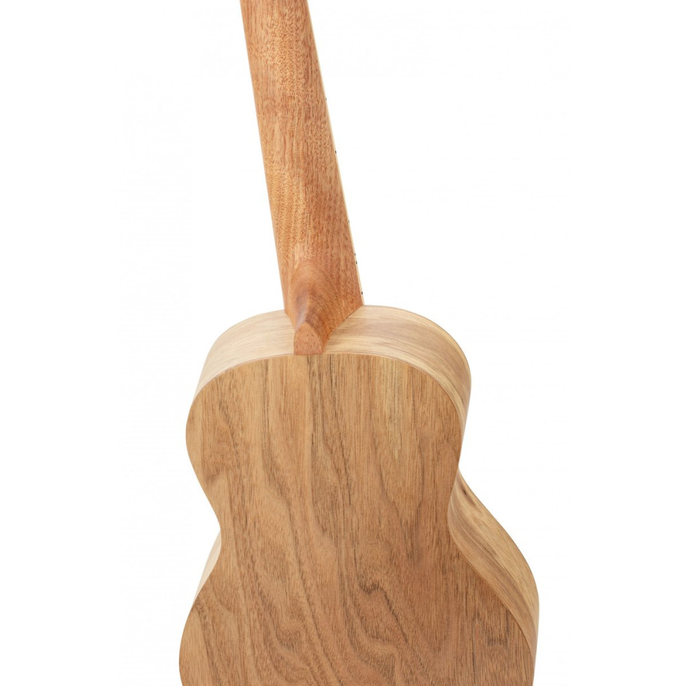 Ortega RUAR-BI Art Series Concert Ukulele 4 String - Spruce / Catalpa Birds
