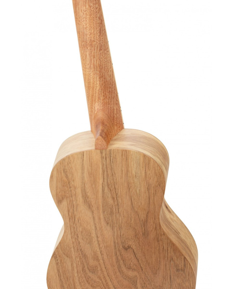 Ortega RUAR-BI Art Series Concert Ukulele 4 String - Spruce / Catalpa Birds