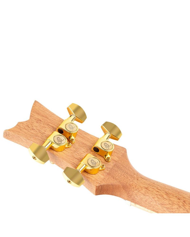Ortega RUAR-EY Art Series Concert Ukulele 4 String - Spruce / Catalpa Egypt