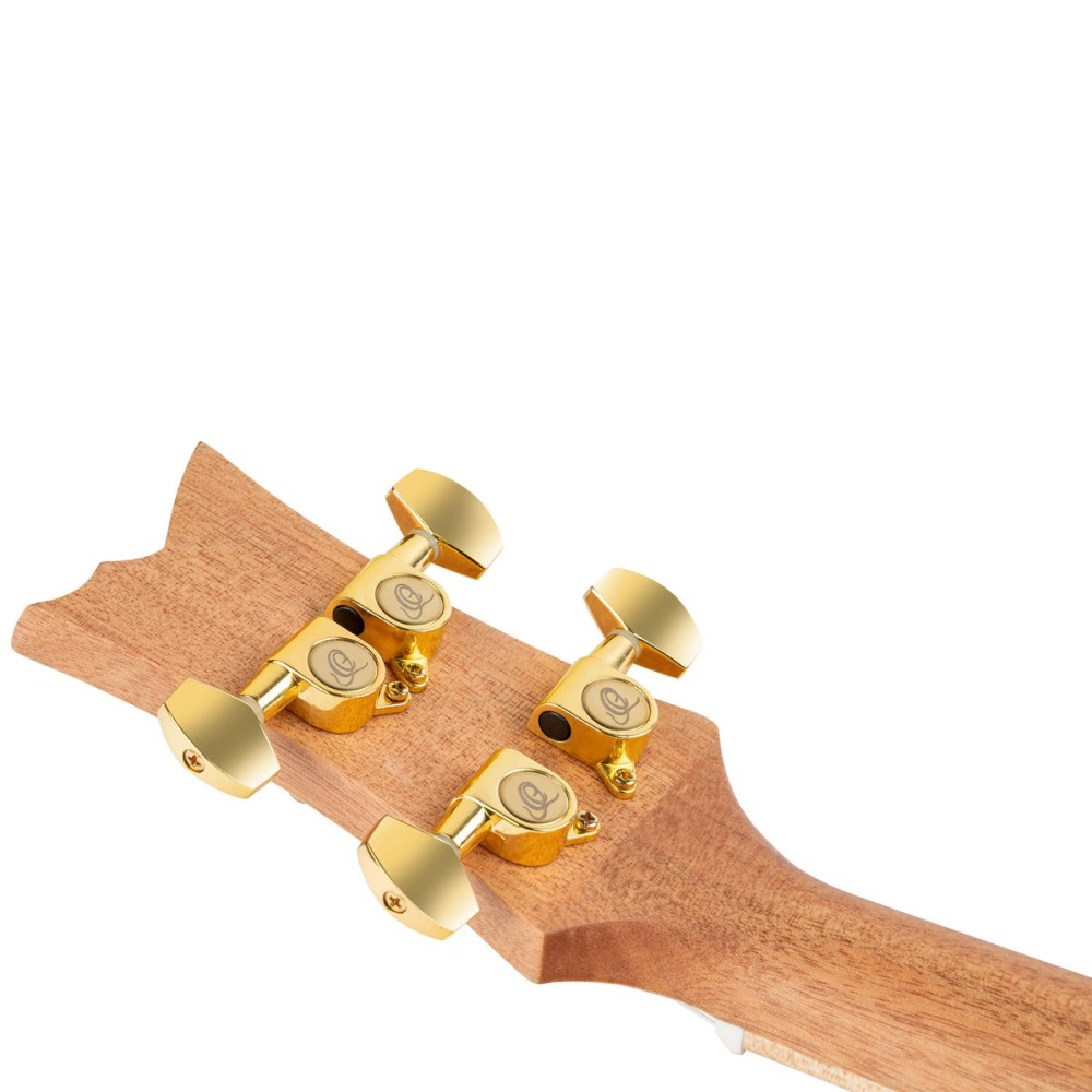 Ortega RUAR-MI Art Series Concert Ukulele 4 String - Spruce / Catalpa Mystic India