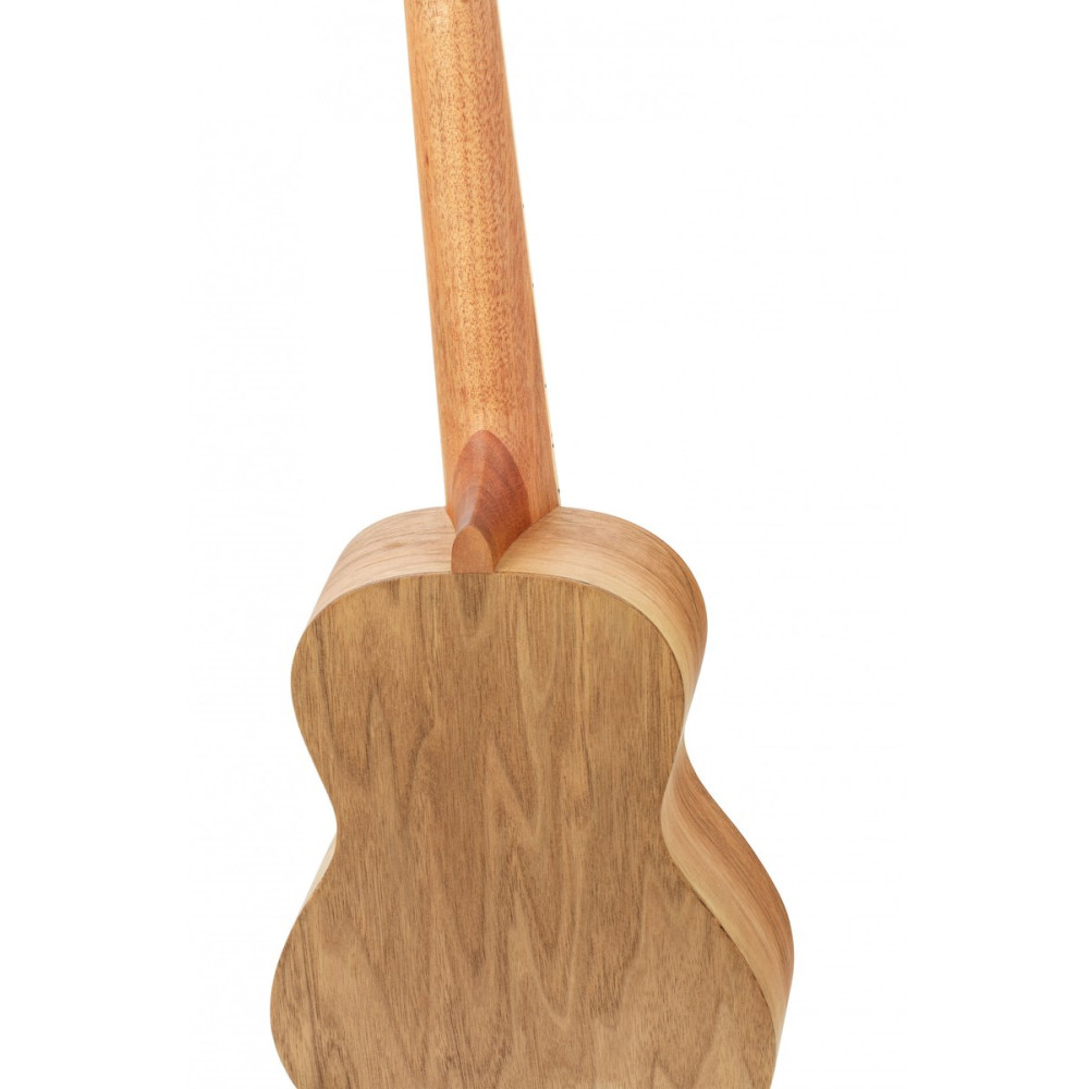Ortega RUAR-MI Art Series Concert Ukulele 4 String - Spruce / Catalpa Mystic India