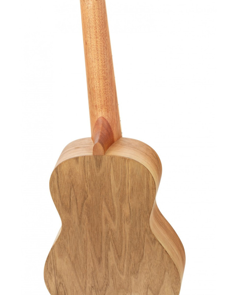 Ortega RUAR-MI Art Series Concert Ukulele 4 String - Spruce / Catalpa Mystic India