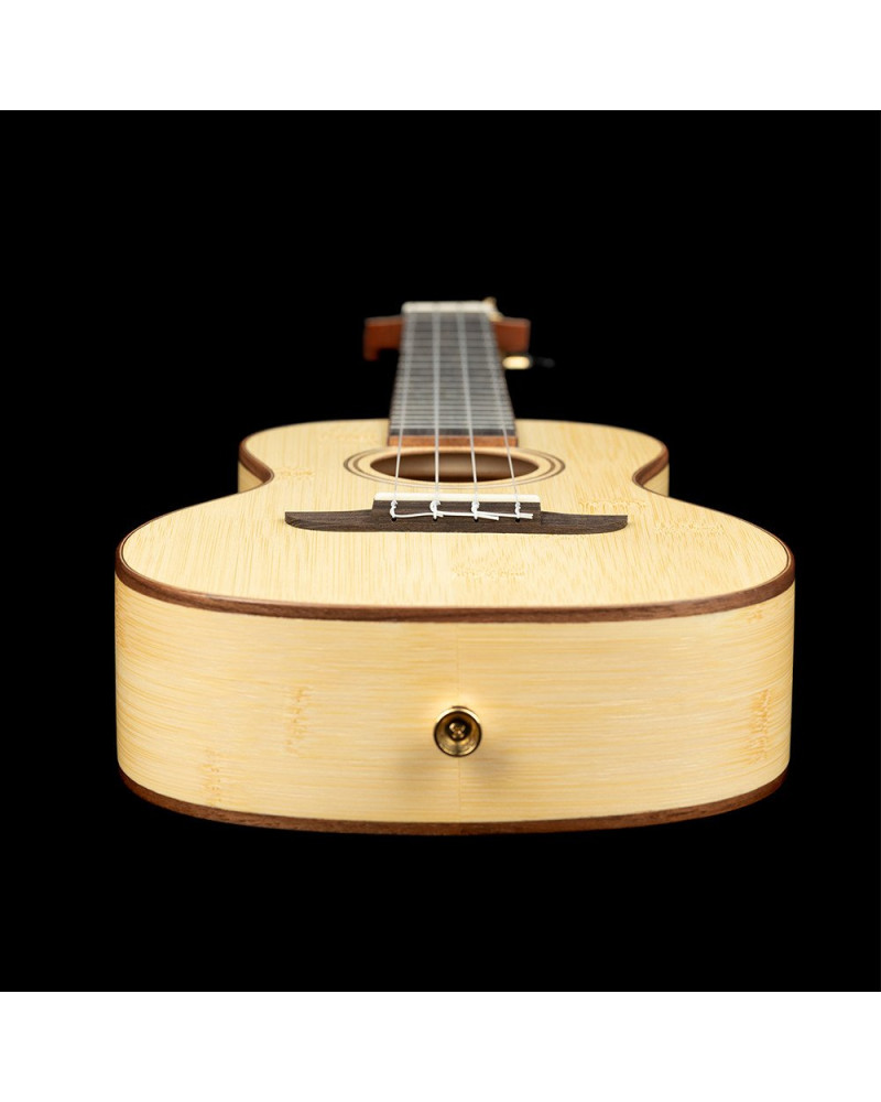 Ortega RUBO Horizon Series Concert Ukulele