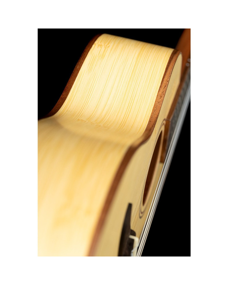 Ortega RUBO Horizon Series Concert Ukulele