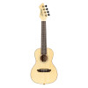 Ortega RUBO Horizon Series Concert Ukulele