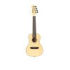 Ortega RUBO Horizon Series Concert Ukulele