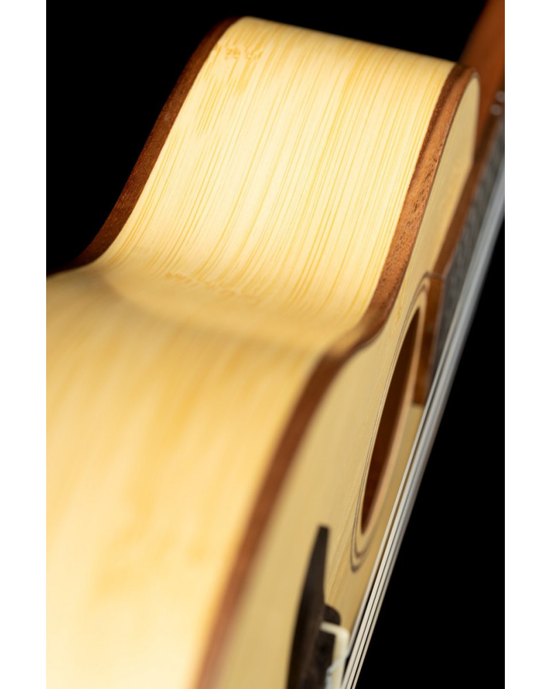 Ortega RUBO Horizon Series Concert Ukulele