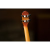 Ortega RUDAWN Earth Series Concert Ukulele 4 String - Sunburst