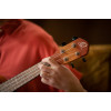 Ortega RUDAWN Earth Series Concert Ukulele 4 String - Sunburst