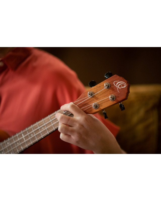 Ortega RUDAWN Earth Series Concert Ukulele 4 String - Sunburst