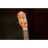 Ortega RUDAWN Earth Series Concert Ukulele 4 String - Sunburst
