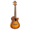 Ortega RUDAWN-CE Earth Series Concert Preamp Ukulele 4 String - Sunburst