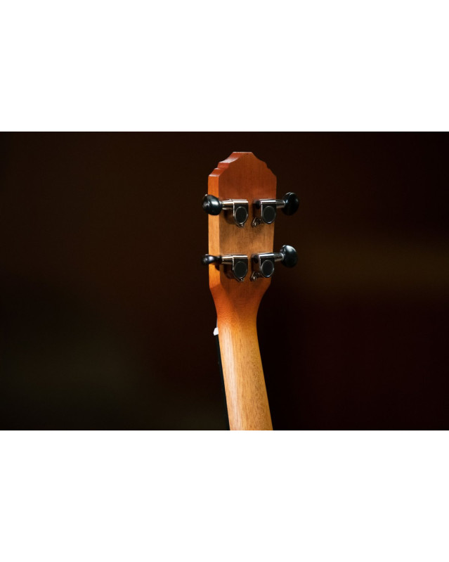 Ortega RUDAWN-CE Earth Series Concert Preamp Ukulele 4 String - Sunburst
