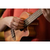 Ortega RUDAWN-CE Earth Series Concert Preamp Ukulele 4 String - Sunburst