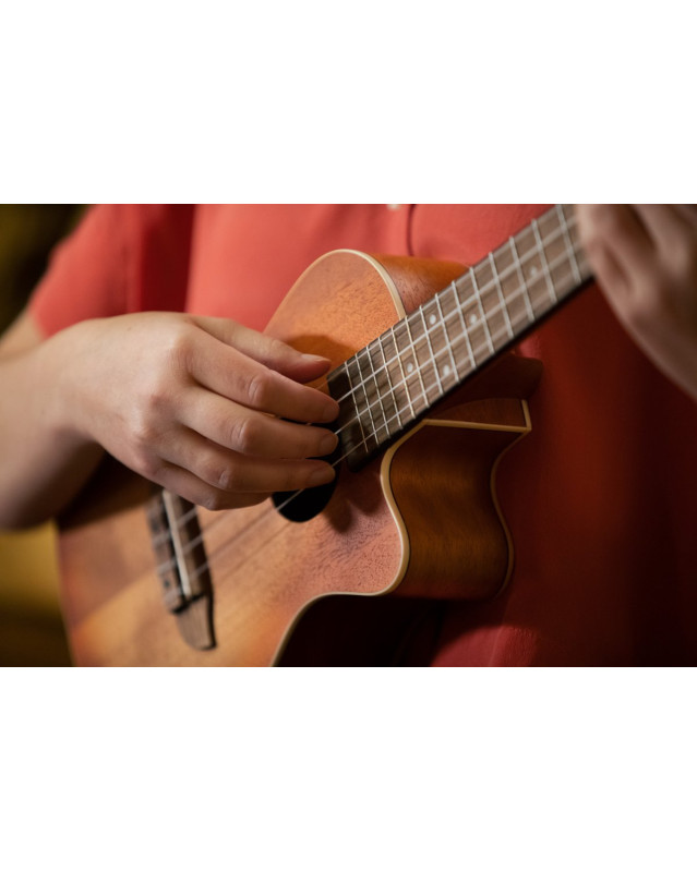 Ortega RUDAWN-CE Earth Series Concert Preamp Ukulele 4 String - Sunburst