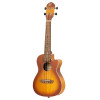 Ortega RUDAWN-CE Earth Series Concert Preamp Ukulele 4 String - Sunburst