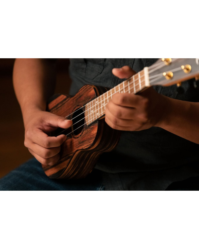Ortega RUEB-SO Timber Series Soprano Ukulele 4 String - Ebony Natural + Bag