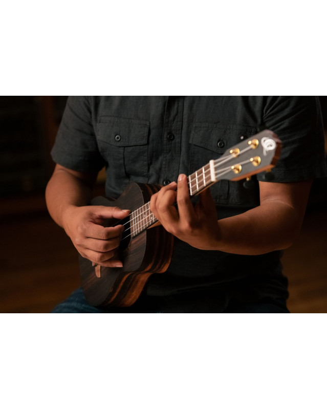 Ortega RUEB-TE Timber Series Tenor Ukulele 4 String - Ebony Natural + Bag