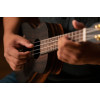 Ortega RUEB-TE Timber Series Tenor Ukulele 4 String - Ebony Natural + Bag