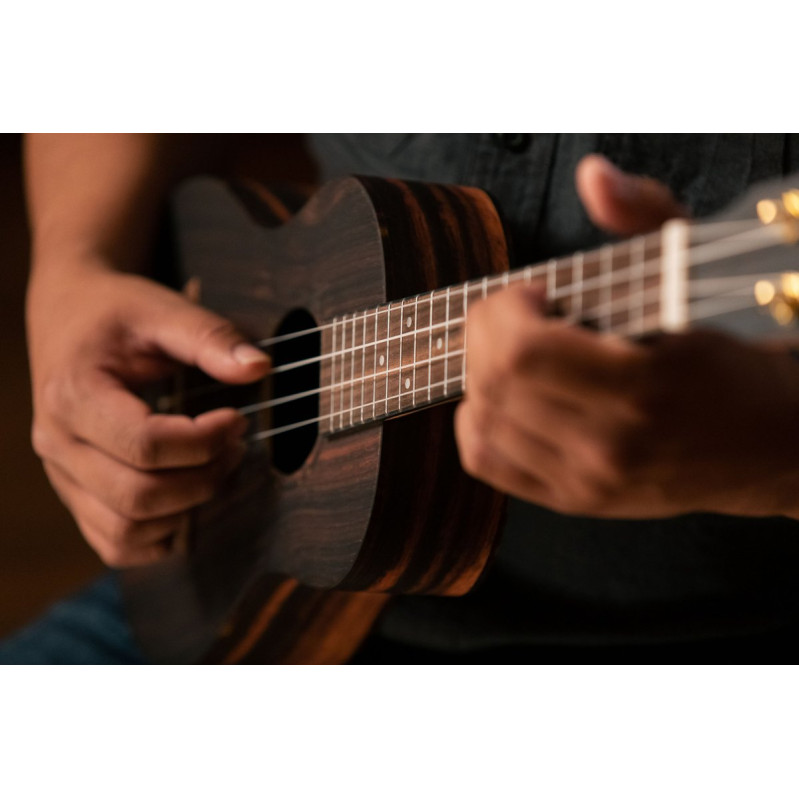 Ortega RUEB-TE Timber Series Tenor Ukulele 4 String - Ebony Natural + Bag