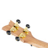 Ortega RUEL-MBL Element Series Concert Ukulele 4 String - Spruce / Catalpa Metallic Blue + Bag